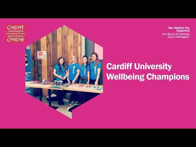 Student Wellbeing Champions