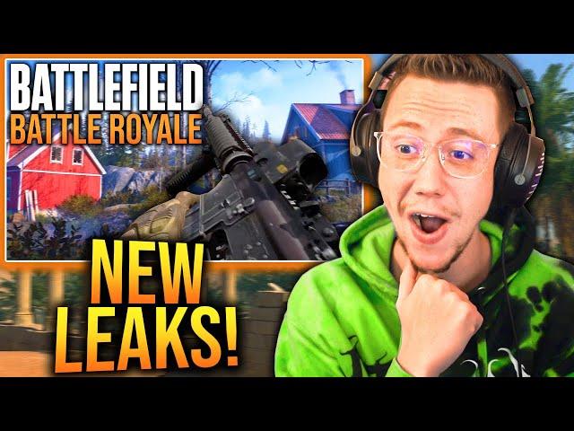 New BATTLEFIELD LEAKS Reveal Some BIG THINGS! (Battlefield Battle Royale)