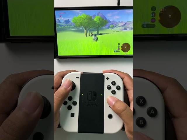 Zelda Breath Of The Wild on Nintendo Switch OLED#zeldabreathofthewild #nintendoswitcholed