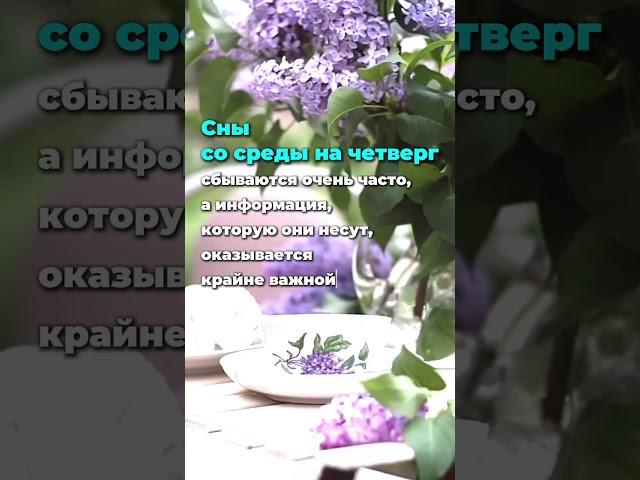 Сны по дням недели. Что означают и когда сбываются #снынаяву #значениеснов