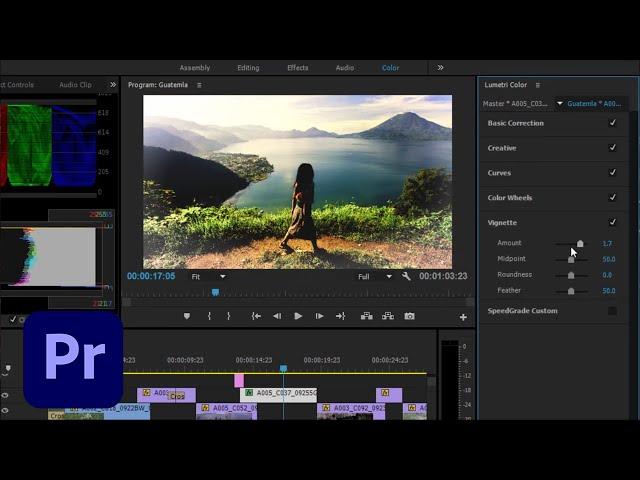 Coming to Adobe Premiere Pro - The new Lumetri Color panel | Adobe Creative Cloud