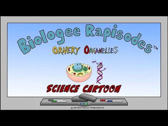 Cell Organelles | Science Cartoon |