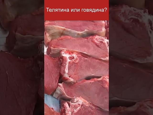 Что такое настоящая телятина