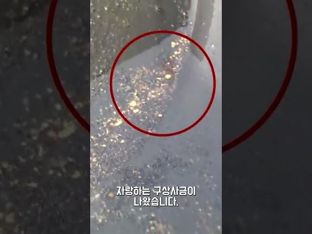 그 많던 신라의 황금들은 어디로 갔을까?