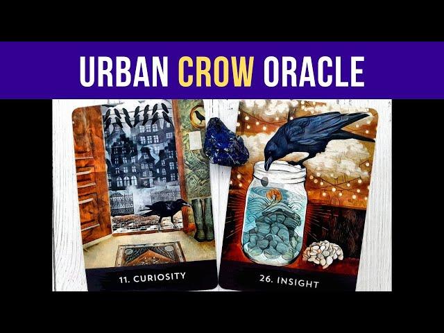 Urban Crow Oracle