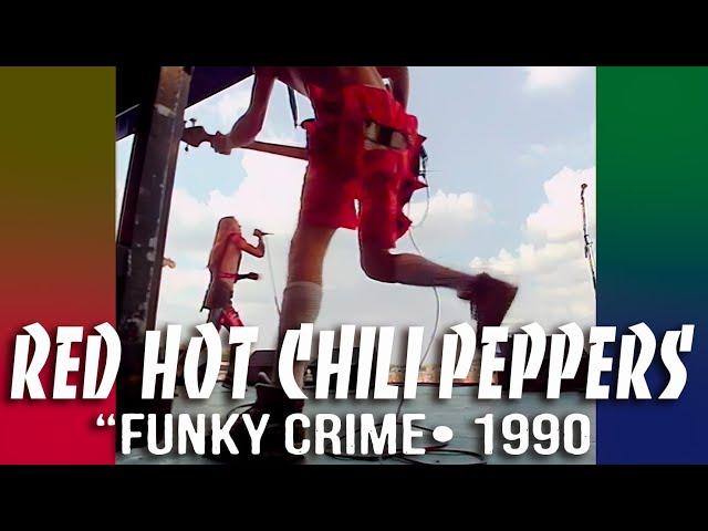 Red Hot Chili Peppers • “Funky Crime” • 1990 [Reelin' In The Years Archive]