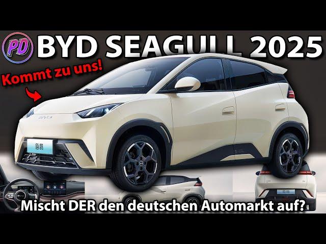 BYD SEAGULL 2025 - In China under 10.000€ & It will launch in Europe soon!