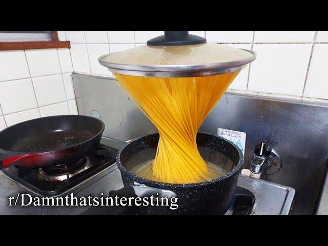 r/Damnthatsinteresting | big noodle