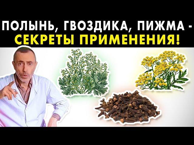 ПОЛЫНЬ, ГВОЗДИКА, ПИЖМА - СЕКРЕТЫ ПРИМЕНЕНИЯ! Островский. Глисты, паразиты, гельминты, тройчатка.