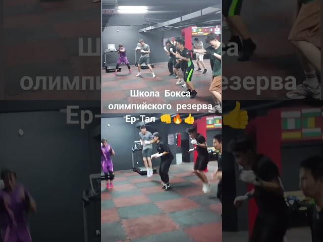 #школа#бокса#олимпийского#резерва#ертал#$ensei...