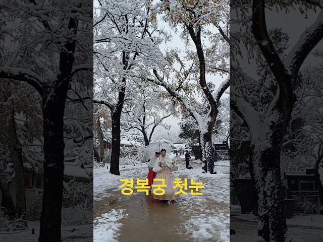 ️첫눈 내린 경복궁 오늘/The first snow is falling in Gyeongbokgung Palace