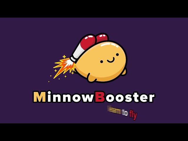 2018 Minnowbooster Explained