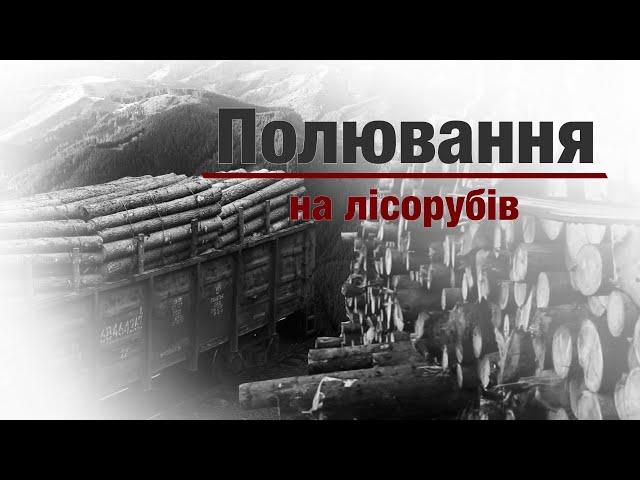 Полювання на лісорубів | Розслідування "Стоп Корупції"