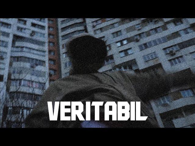 Bombardir & Vista - Veritabil