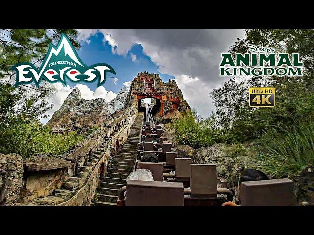 Expedition Everest Roller Coaster On Ride Low Light 4K POV Disney's Animal Kingdom 2024 09 20