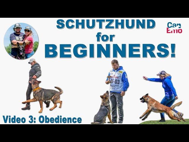 Schutzhund For Beginners: Obedience