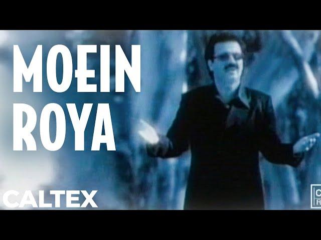 Moein - Roya | معین - رویا