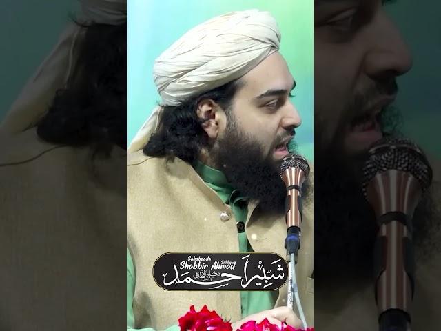 Humare Murshid #lasanisarkar #lasani #lasani_sarkar #shabbirahmadsiddiqui