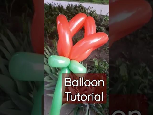 Balloon Flower Tulip TUTORIAL  @balloon daisy clown