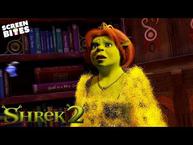 Fiona Meets The Fairy Godmother | Shrek 2 (2004) | Screen Bites