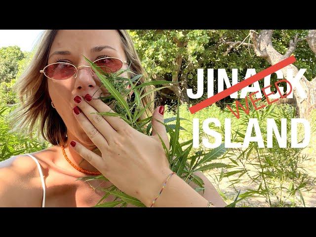 JINACK ISLAND/ weed island [ ENG SUB ]