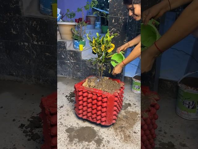 Garden Planter made from Egg Tray - DIY Cement Craft