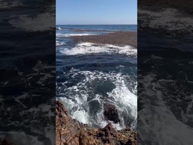 #FishingGoals: The Breathtaking Cliffs of Palos Verdes Revealed