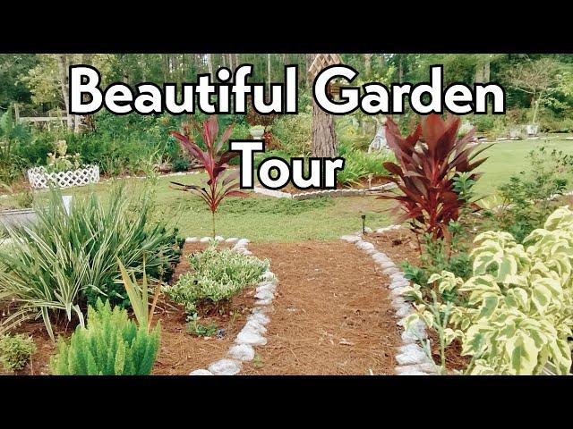 Summer Garden Tour In 2024| Meu Jardim Na Florida