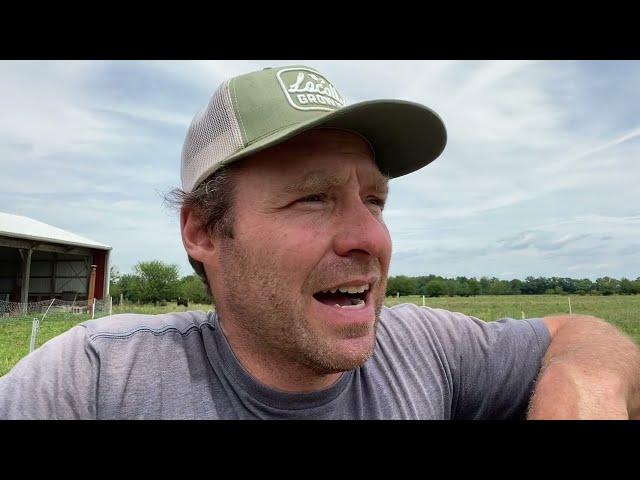 Rotational Grazing - 7 Cattle, 24 Sheep, 40 Chickens on 5 Acres.