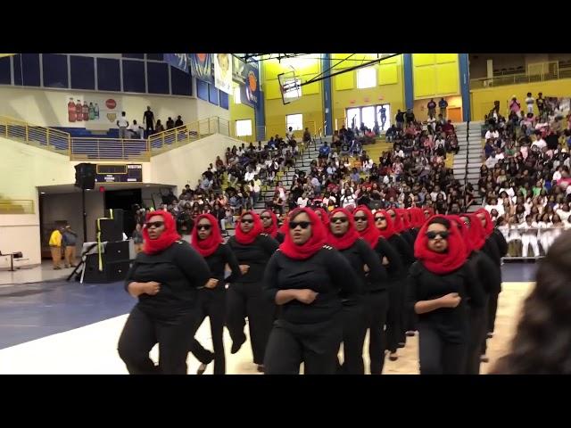 33 F.R.E.E.D Delta Sigma Theta Inc. Eta Chapter Fort Valley State University 2018