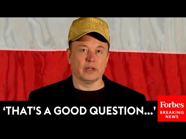 Voter Asks Elon Musk What His First Steps Will Be If He Is Put In Charge Of Government Efficiency