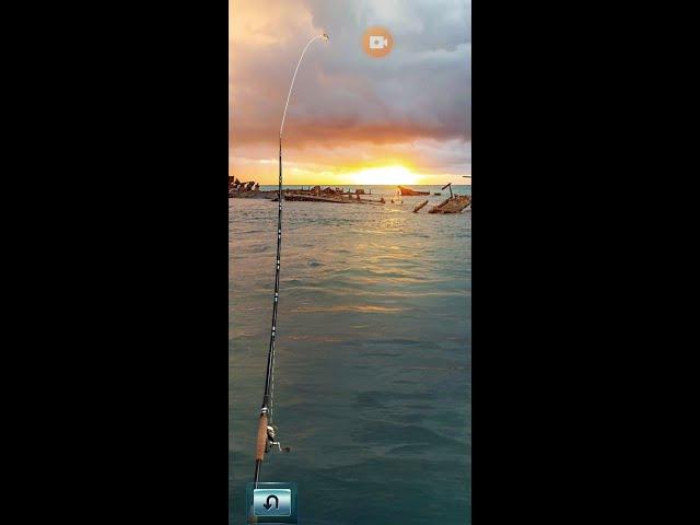Let's Fish. Австралия. Остров Мортон
