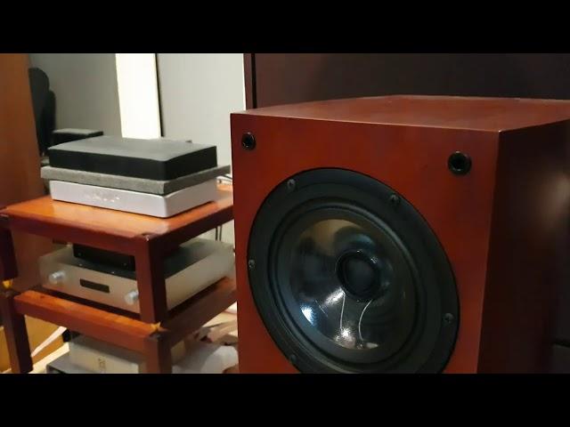 New Renolabs Speaker with Full option - Audiophile NbR Store