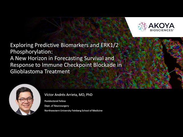 Exploring Predictive Biomarkers and ERK1/2 Phosphorylation: A New Horizon in Glioblastoma Treatment