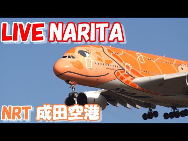 LIVE at NARITA International Airport Plane Spotting　2024.10.21成田空港ライブカメラ 成田空港　NRT/RJAA