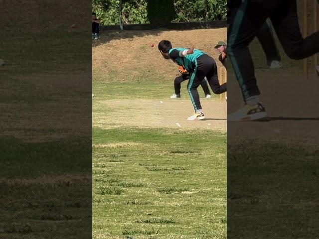 Cricket catch of the day , Great catch , #shorts #youtubeshorts