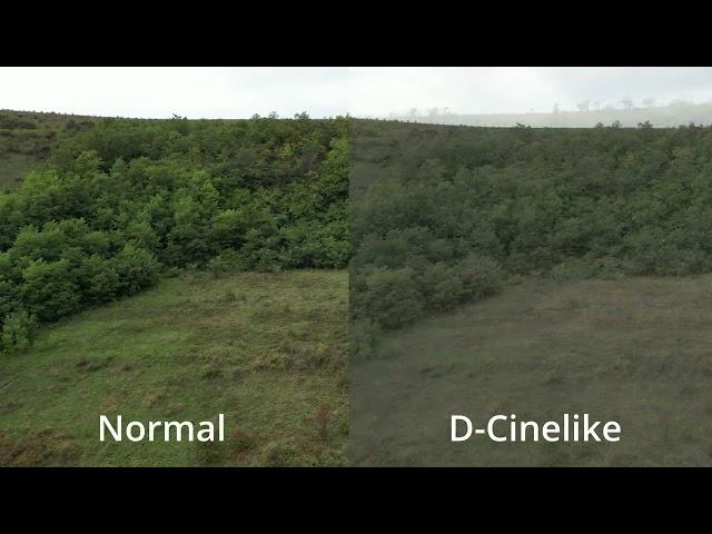 Normal vs D-Cinelike (DJI Mini 3 Pro, No color grading)