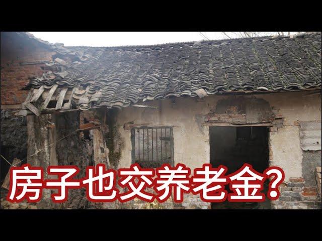 住房养老金横空出世，连个铺垫都没有：有一群小角色起到了大作用