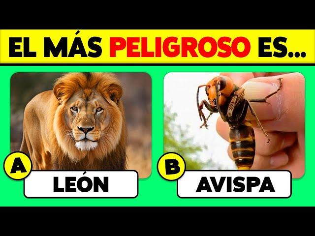  50 PREGUNTAS de ANIMALES  ¿Cuánto Sabes de Animales?