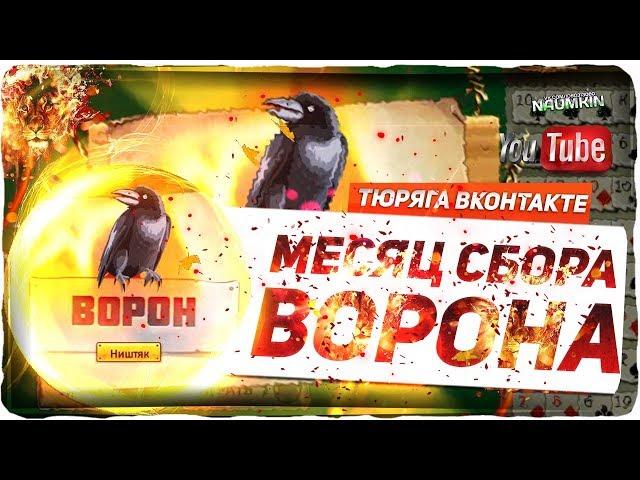 Сбор ВОРОНА ЗА МЕСЯЦ + подсчет!!!