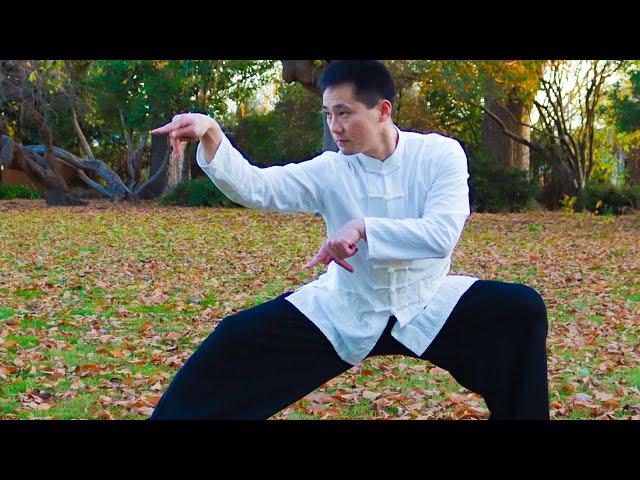 Shaolin Kung Fu Wushu Praying Mantis For Beginners -Session 2