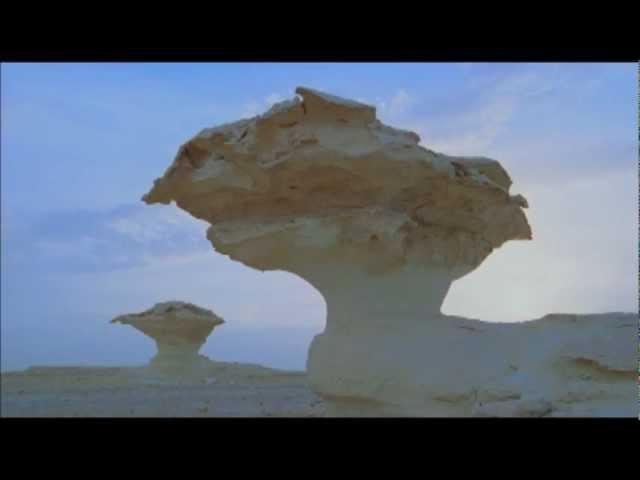 Man Without Country - Foe