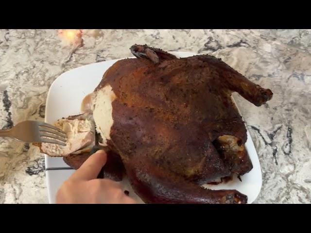 Ninja wood fire outdoor grill whole chicken re try