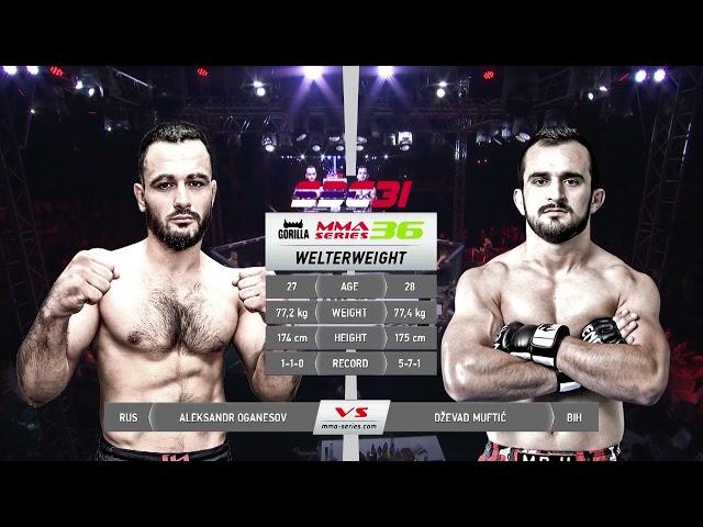 Gorilla MMA Series-36: SBC 31 | Aleksandr Oganezov (Russia) – Dzevad Muftic (Bosnia & Herzegovina)