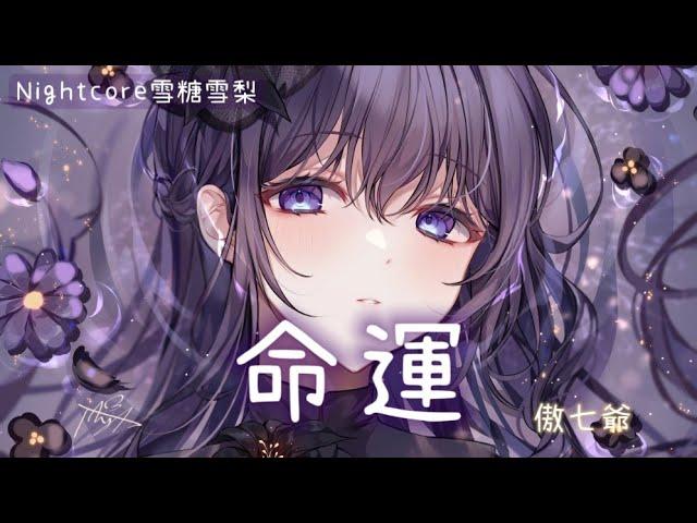  Nightcore  命運 (lyrics)動態歌詞#傲七爺#命運#nightcore