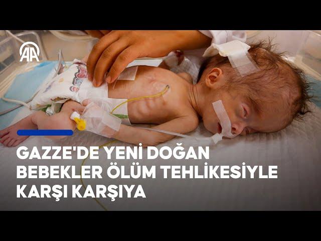 Gazze'de yeni doğan bebekler yetersiz beslenme nedeniyle ölüm tehlikesiyle karşı karşıya