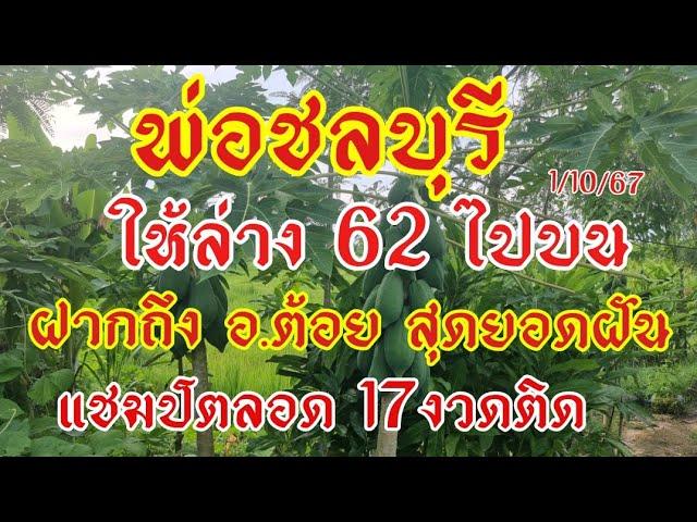 มาแล้ว พ่อชลบุรี ให้ล่าง62ขึ้นบน เด่น17งวดไม่มีหลุด ฝากถึงอ.ต้อยสุดยอดฝันแม่น1/10/67