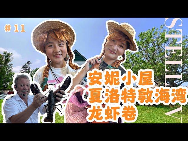 加拿大PEI ｜著名打卡聖地安妮小屋｜出海到夏洛特敦Charlottetown海灣看日落｜能說能唱的老船長｜捕獲龍蝦｜如何分辨龍蝦Lobster的雌雄