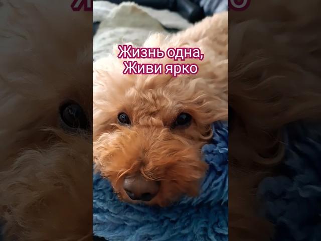 Жизнь одна,  живи ярко!  Никто не знает когда она закончится