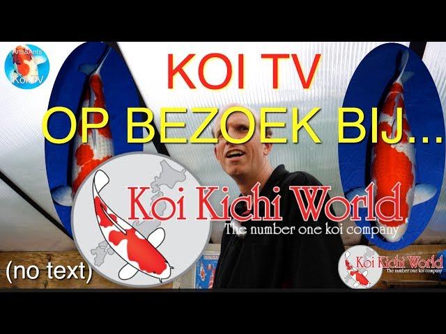 Koi TV  "Op bezoek bij " Koi Kichi World.